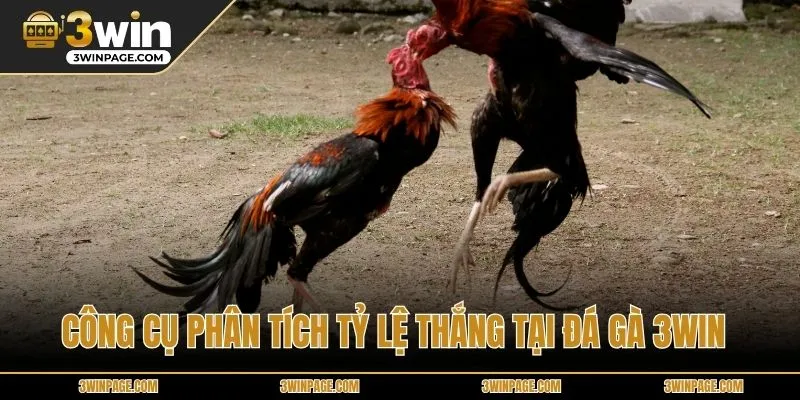 Công cụ phân tích tỷ lệ thắng tại ĐÁ GÀ 3WIN