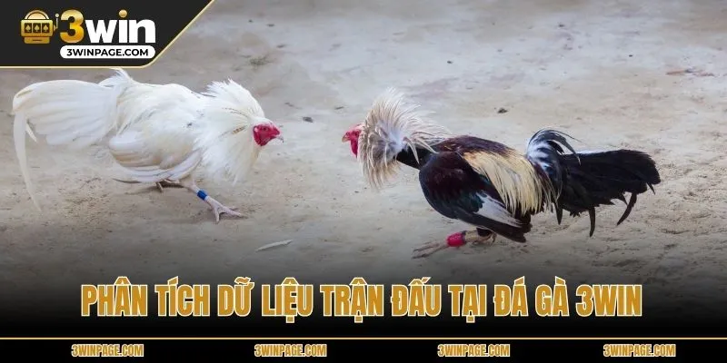 Phân tích dữ liệu trận đấu tại ĐÁ GÀ 3WIN
